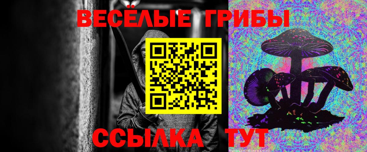 Галлюциногенные грибы MAGIC MUSHROOMS  Вход с VPN  Алатырь  Галлюциногенные грибы прущие грибы 